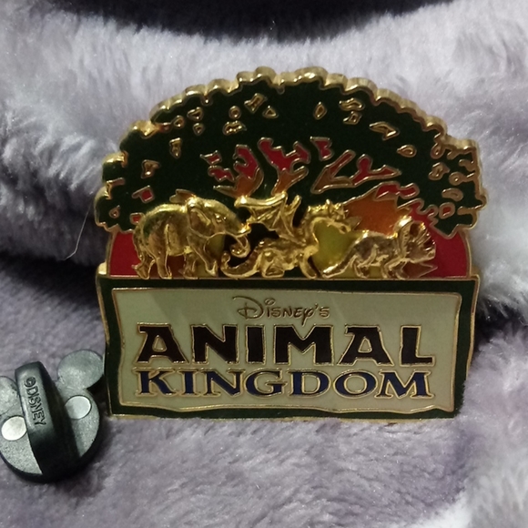 Disney Other - Animal Kingdom pin